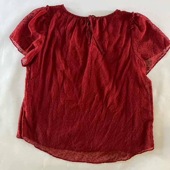Elegant Red Women's Top by Lauren Conrad - Picture 5 of 5